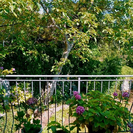 Apartamento Casa Del Padre - Mirabelle *